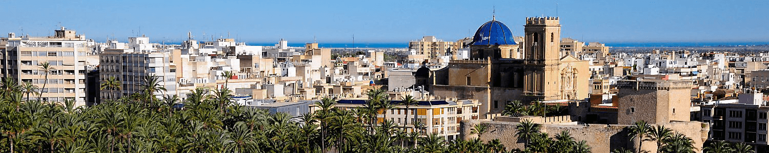 Panoramic view of Elche with the Basilica of Santa María